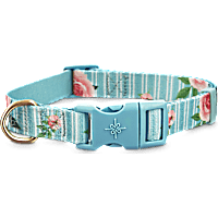 Good2Go Pink Rose Print Dog Collar in Blue