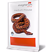Imagitarium Frozen Medium Mouse