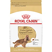Royal Canin Breed Health Nutrition Cocker Spaniel Adult Dry Dog Food