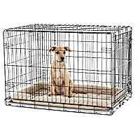 EveryYay 1-Door Dog Crate