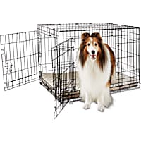 Extra large dog crate petco discount