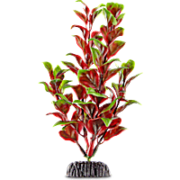 Imagitarium Red & Green Pearl Foreground Aquarium Plant