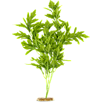 Imagitarium Forest Vine Silk Plant