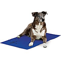 K&H Cooling Pad for Dogs
