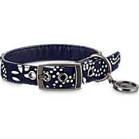 Bond & Co. Indigo Collar for Small Dogs