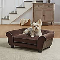 Brown dog couch hotsell