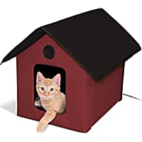 Petco catio 2025