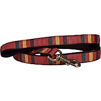 Pendleton Rainier National Park Hiker Dog Leash