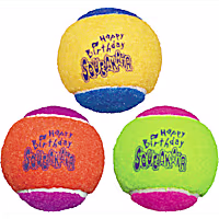 KONG SqueakAir Birthday Ball Dog Toy