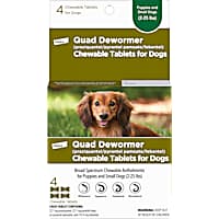 Dewormer for Dogs and Cats - Made in USA Broad Spectrum Worm Treatment -  Eliminates & Prevents Tapeworms, Roundworms, Hookworms, Whipworms - All  Breeds and Size - Puppy & Kitten - 2oz 