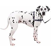 PetSafe Easy Walk Deluxe Dog Harness