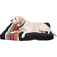 Pendleton Acadia National Park Dog Bed