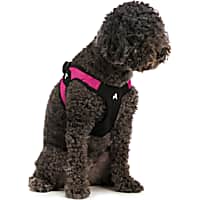 Gooby Escape Free Harness in Hot Pink