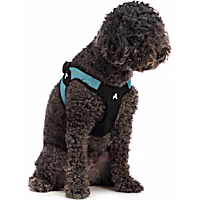 Gooby Pet Escape Free Easy Fit Harness
