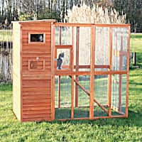 Outdoor cat hot sale play yards