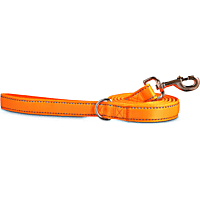 Good2Go Reflective Padded Leash in Orange
