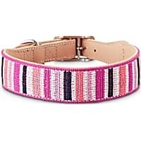 Bond & Co. Sorbet Striped Dog Collar