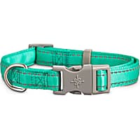 Good2Go Reflective Adjustable Padded Dog Collar in Turquoise