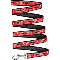 Pets First Tampa Bay Buccaneers Leash