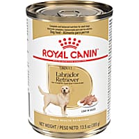 Royal Canin Breed Health Nutrition Labrador Retriever Adult Loaf in Sauce Dog Food