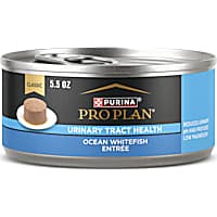 Purina Pro Plan Urinary Tract Health Ocean Whitefish Entree Cat Food Wet Pate