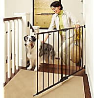 Akc walk hot sale through gate