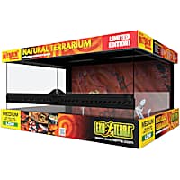 Bearded dragon best sale starter kit petco