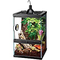 Crested gecko enclosure for sale sale