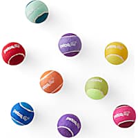 Petco Tennis Ball Dog Toy in Yellow