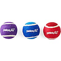 Petco Tennis Ball Dog Toy in Assorted Colors
