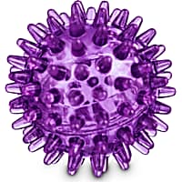 Leaps & Bounds Romp and Run Spiny Ball Dog Toy in Assorted Colors