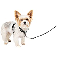 Petsafe Black Three in One Harness