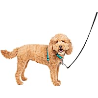 Sensation harness petco cheap