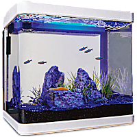 Imagitarium Freshwater Cube Aquarium Kit
