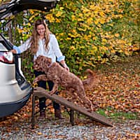 Pet Gear Free-Standing Extra Wide Carpeted Pet Ramp