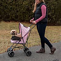 Dog Strollers Carriers Backpacks Petco