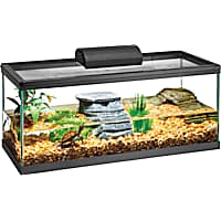 Turtle Tanks: Aquariums & Habitats