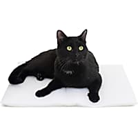 Carolina Pet Company Purr Padd 2 Pack