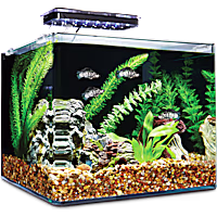 Imagitarium Frameless Freshwater Aquarium Kit, 6.8 GAL