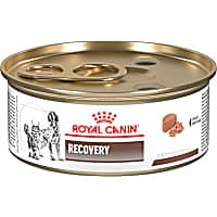 Royal Canin Veterinary Diet Recovery Wet Dog Food