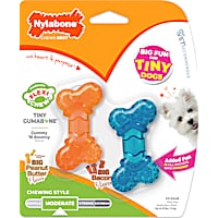 Nylabone Moderate Chew FlexiChew Bone Peanut Butter & Bacon Orange & Blue XX-Small/Tiny - Up to 8 lbs.