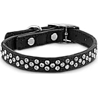 Bond & Co. Starry Night Black Leather Dog Collar