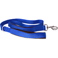 YOULY The Champion 2-in-1 Blue Dog Lead