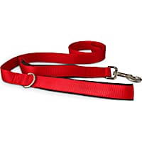 Good2Go Red 2-in-1 Dog Leash, 6 ft.