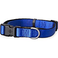Good2Go Blue Neoprene Padded Dog Collar