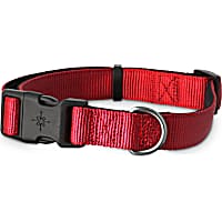 Good2Go Red Neoprene Padded Dog Collar