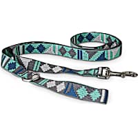 Good2Go Cool Desert Vibes Dog Leash