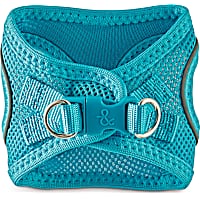 Bond & Co. Reflective Teal Mesh Dog Harness