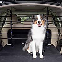 Dog Car Barriers Gates Dividers Petco