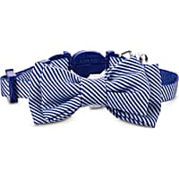Bond & Co. Blue Seersucker Breakaway Bowtie Kitten Collar